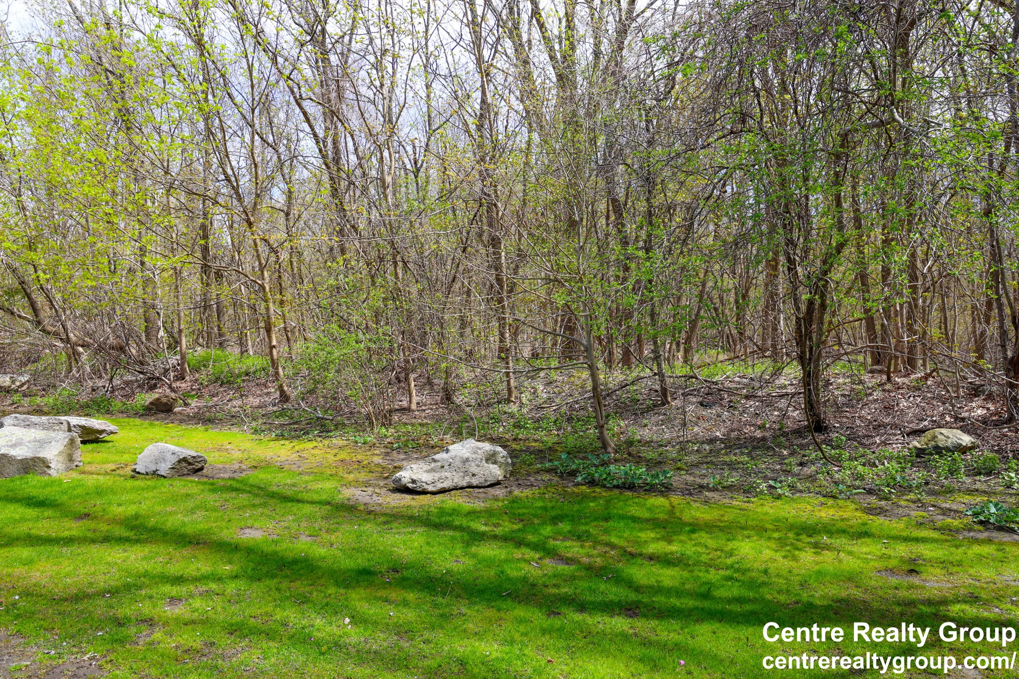 14 Bryon Rd, Chestnut Hill