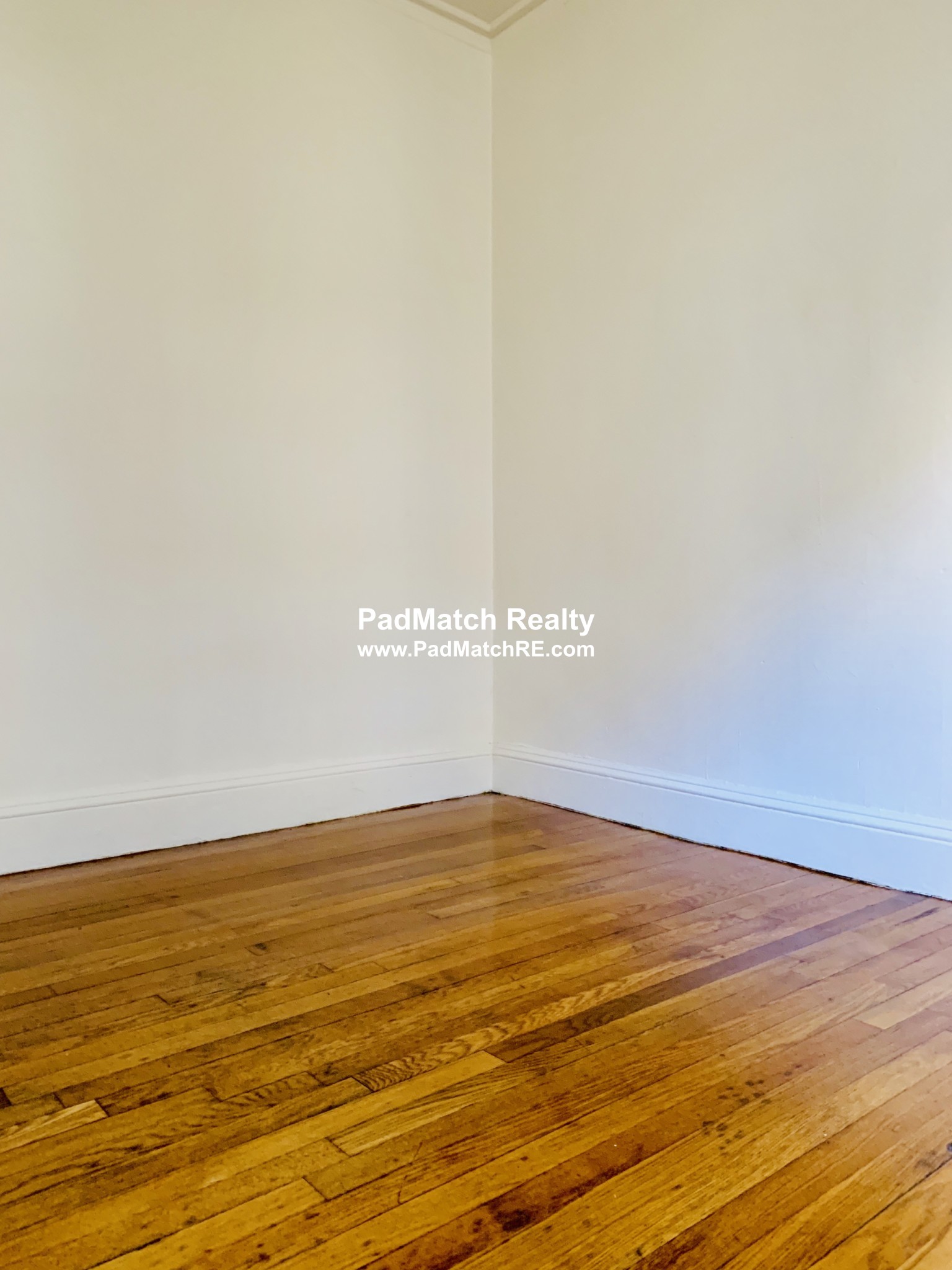 1175 Boylston St, Fenway