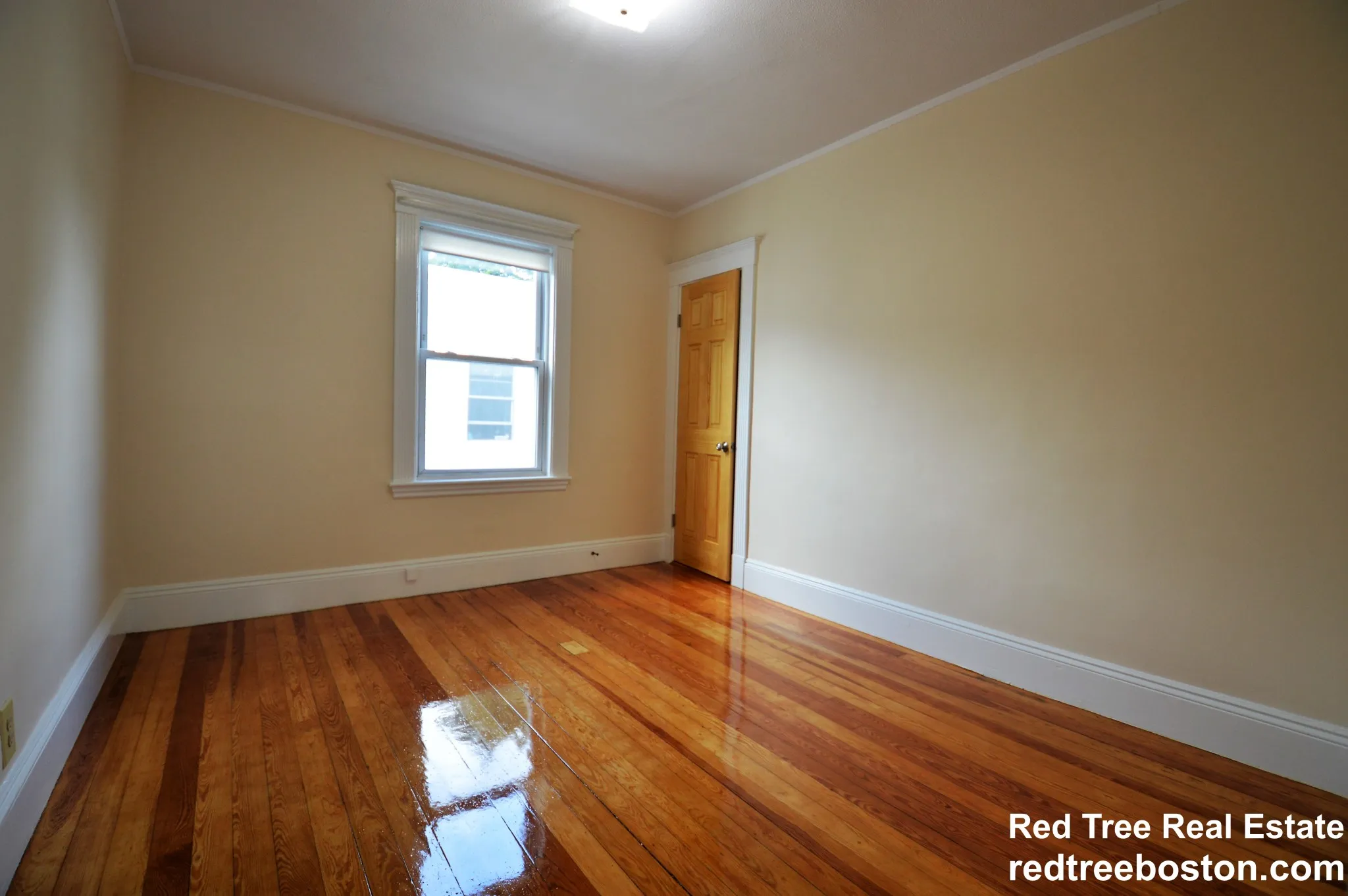 39 Montfern Ave, Brighton