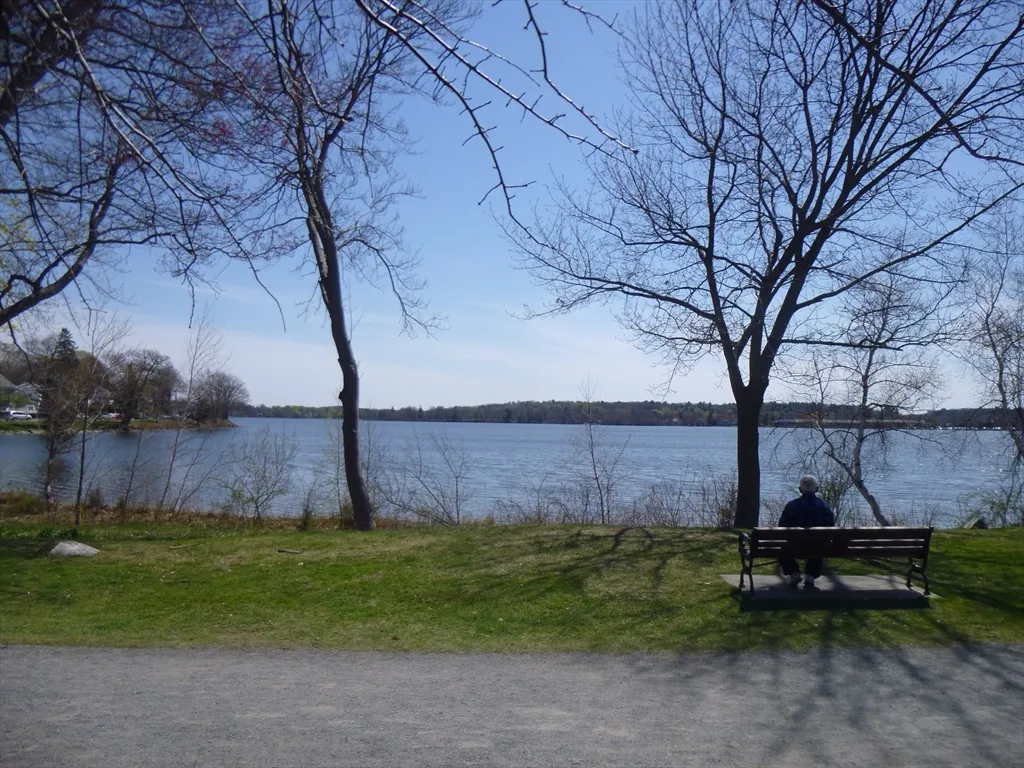 15 Sycamore Rd, Montrose