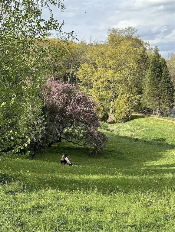 34 Colgate Rd, Roslindale