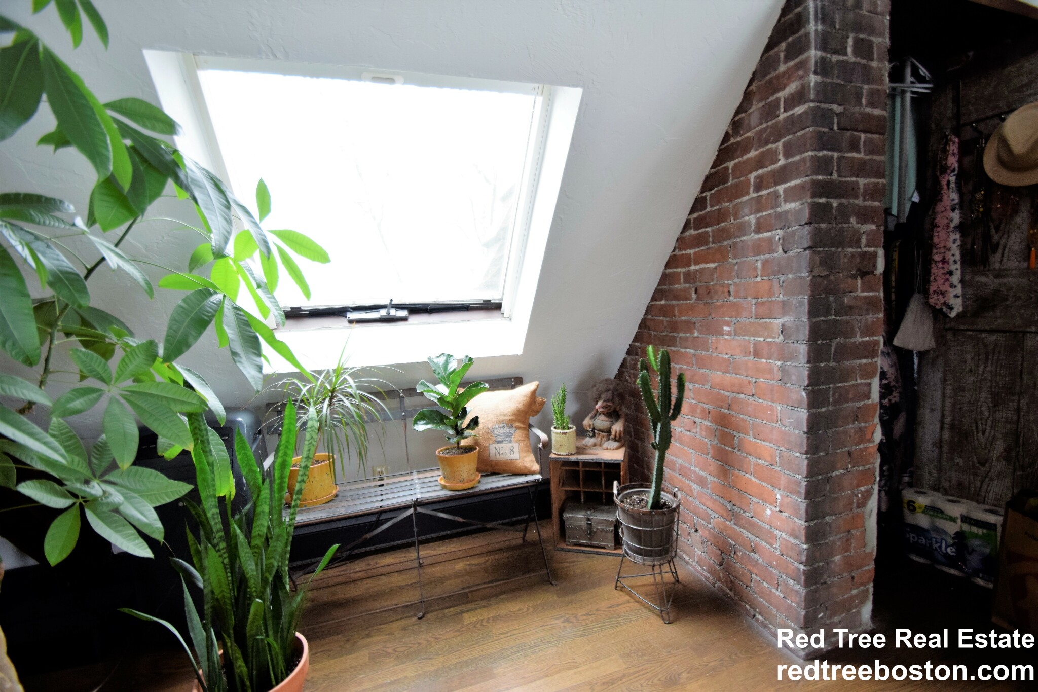 444 Western Ave, Brighton