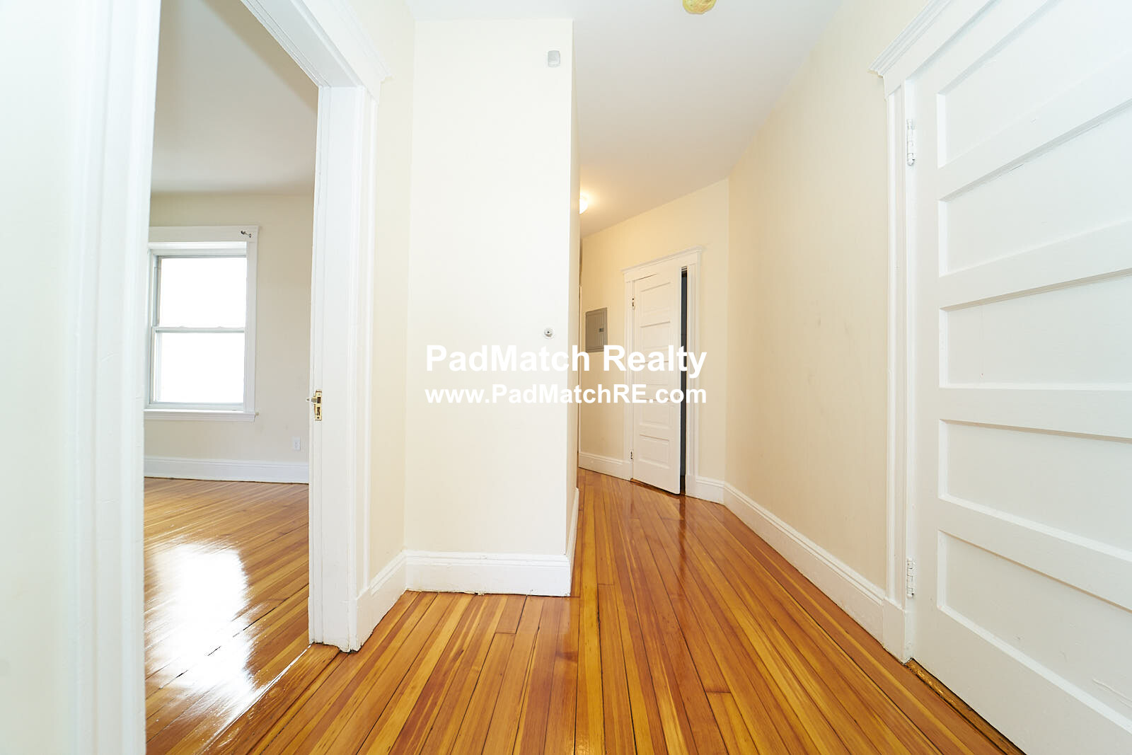 7 Mount Hood Rd, Brighton