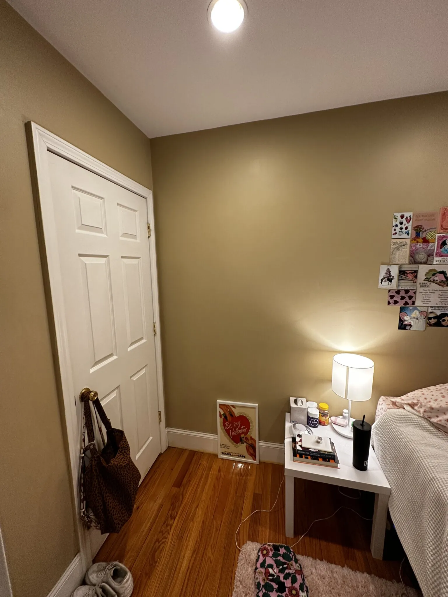 60 Egmont St, North Brookline