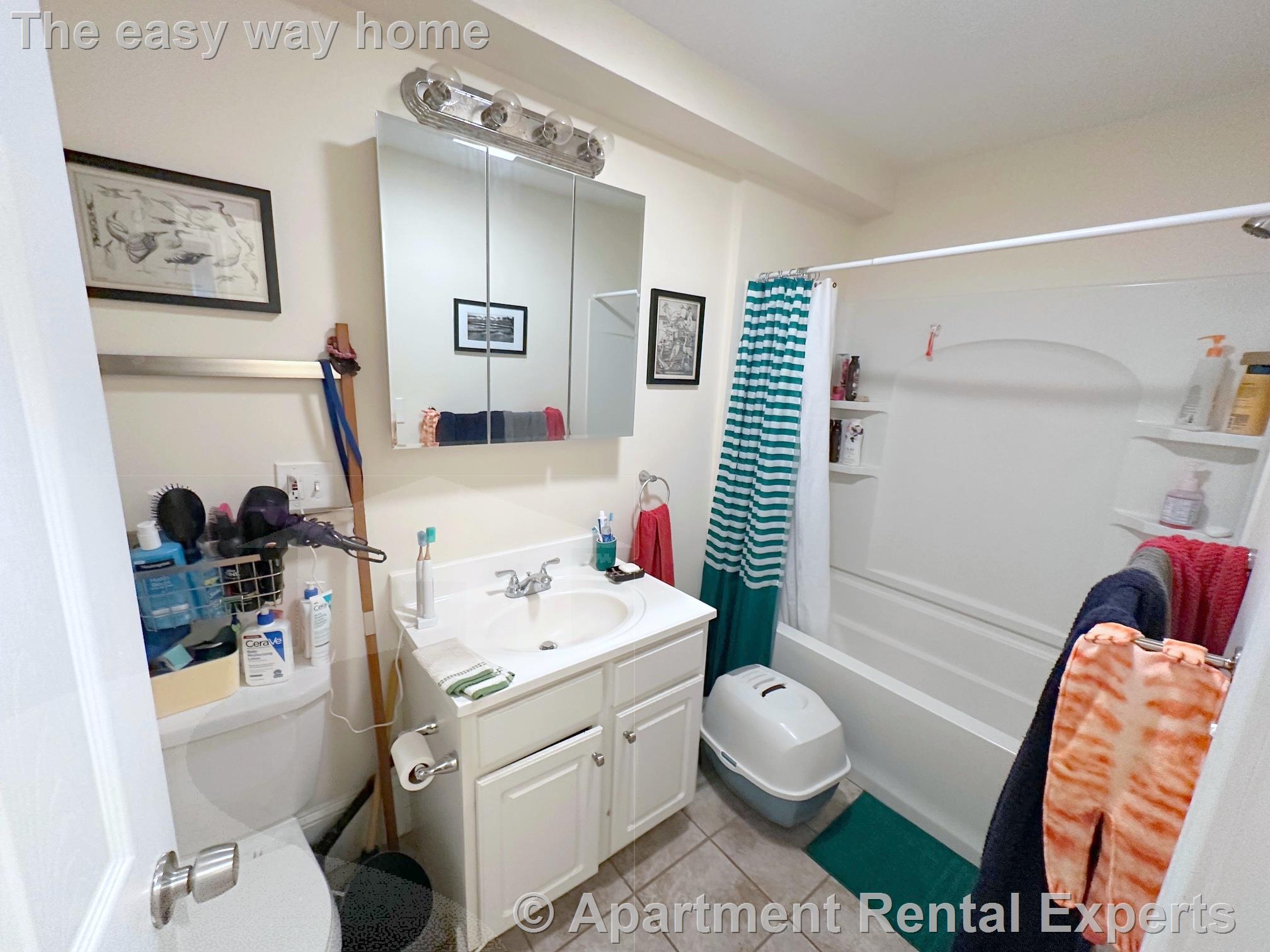 387 Columbia St, Inman Square