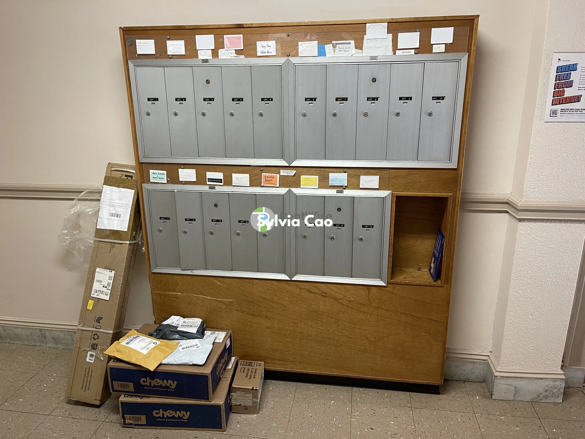 68 Woodstock Ave, Brighton