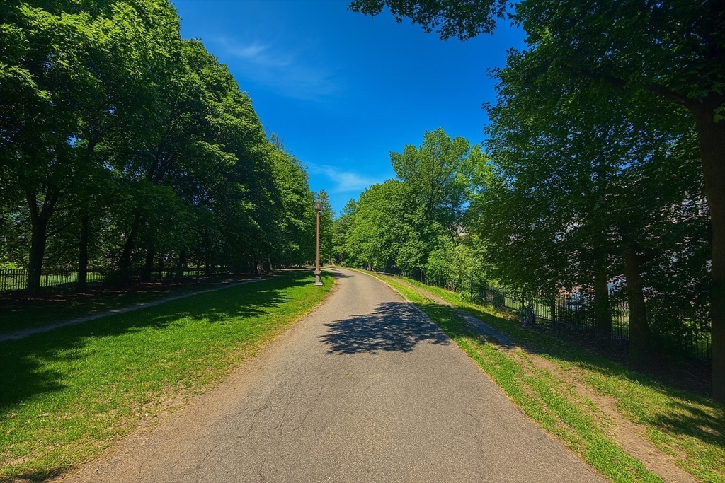 117-135 Harvey St, North Cambridge