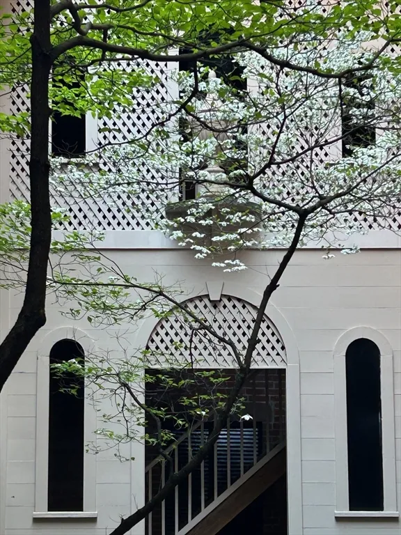 31 Branch, Beacon Hill