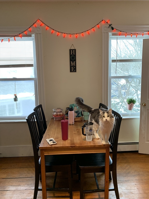 7 Timon Ave, Brookline