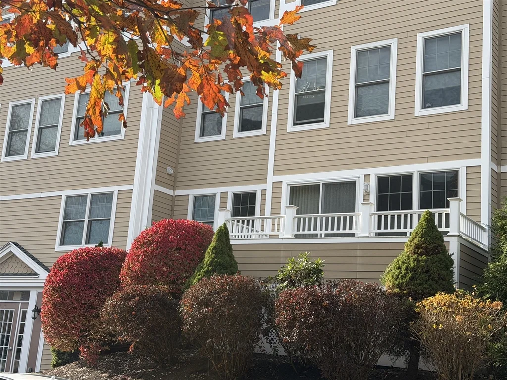 11 Cheriton Rd, West Roxbury