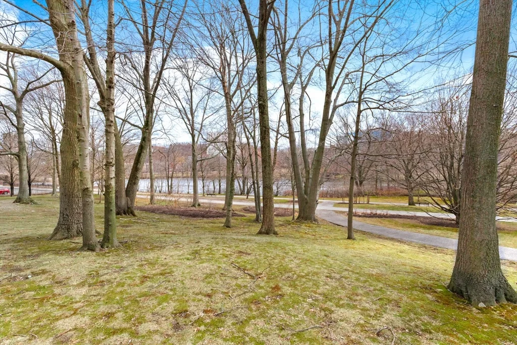 33 Pond Ave, Brookline Village