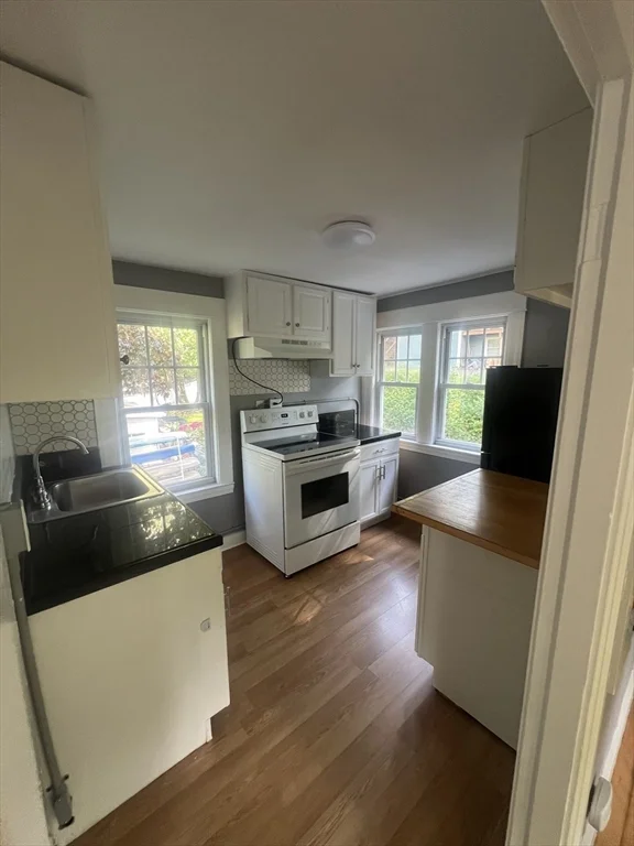 303 Lake Ave N, Worcester