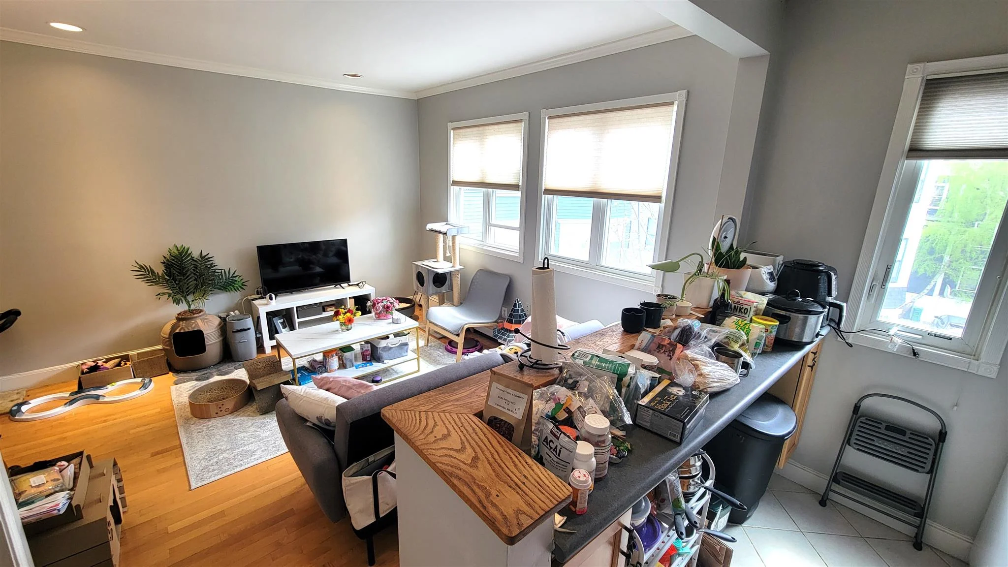 88 Hancock St, Mid-Cambridge