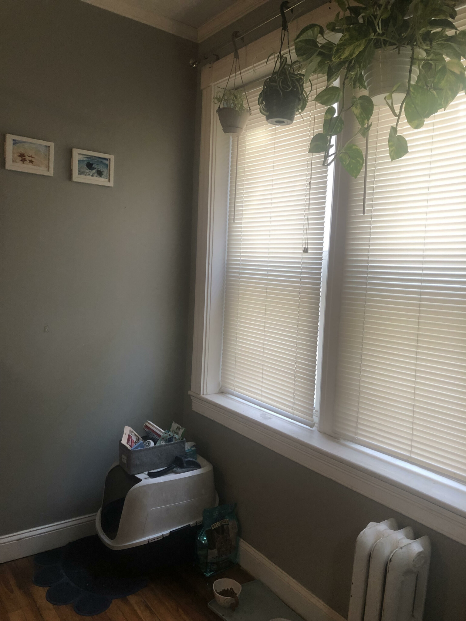 1637 Commonwealth Ave, Brighton