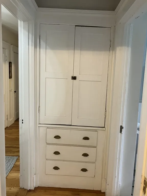 43 Linnaean St, Neighborhood Nine