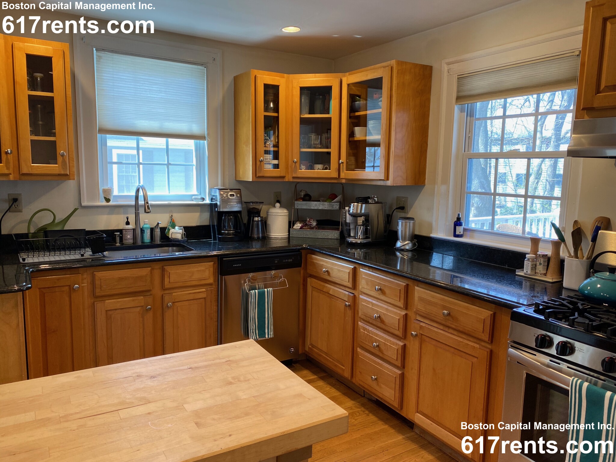 22 Cleveland Rd, Wellesley