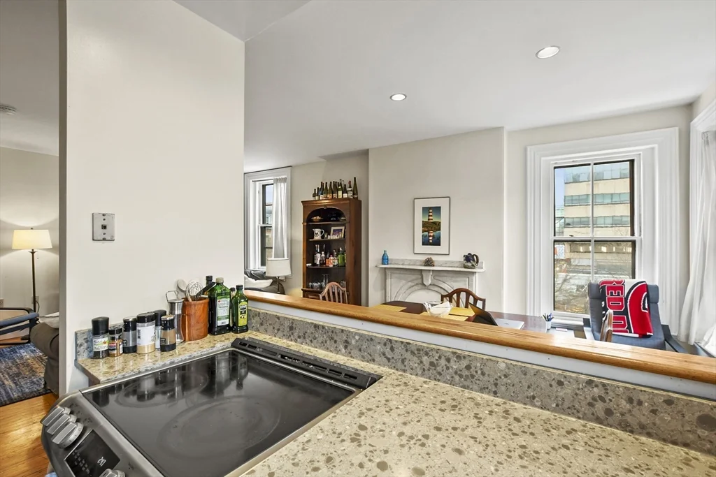 59 E Springfield, South End
