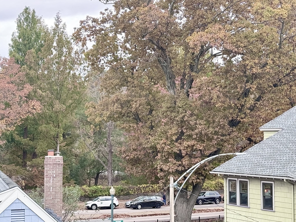 47 1/2 Jamaica St, Jamaica Plain