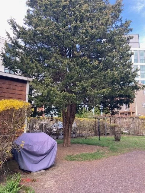 90 Prospect St, Ward Two