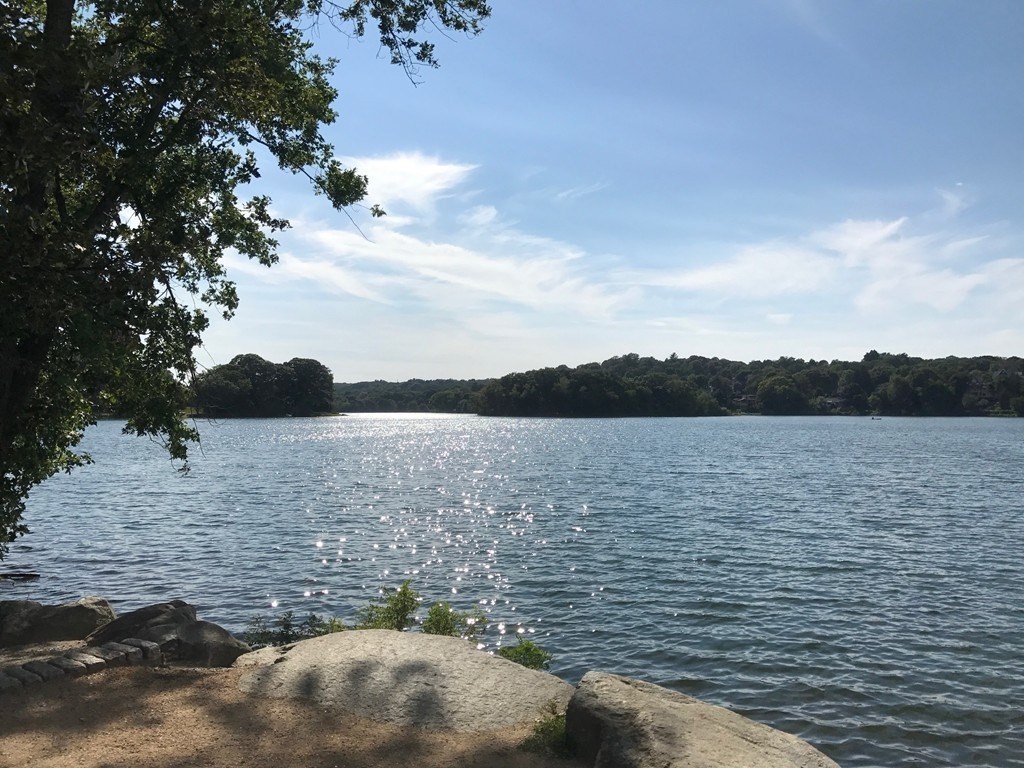 32 Hamilton Rd, Arlington