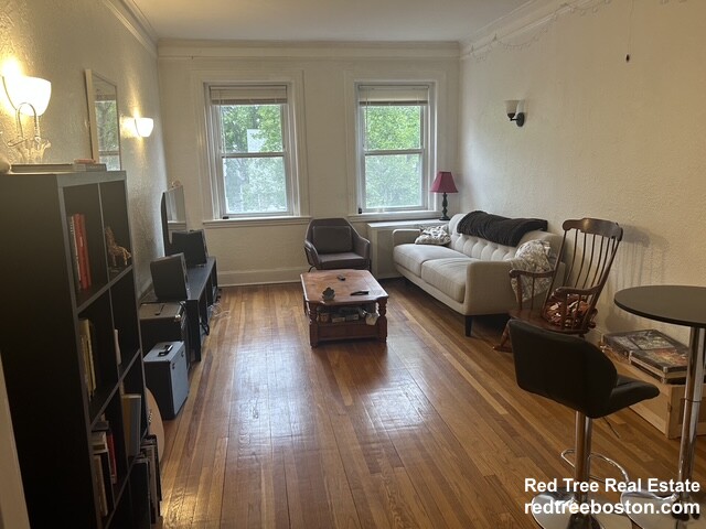 53 Manchester Rd, North Brookline