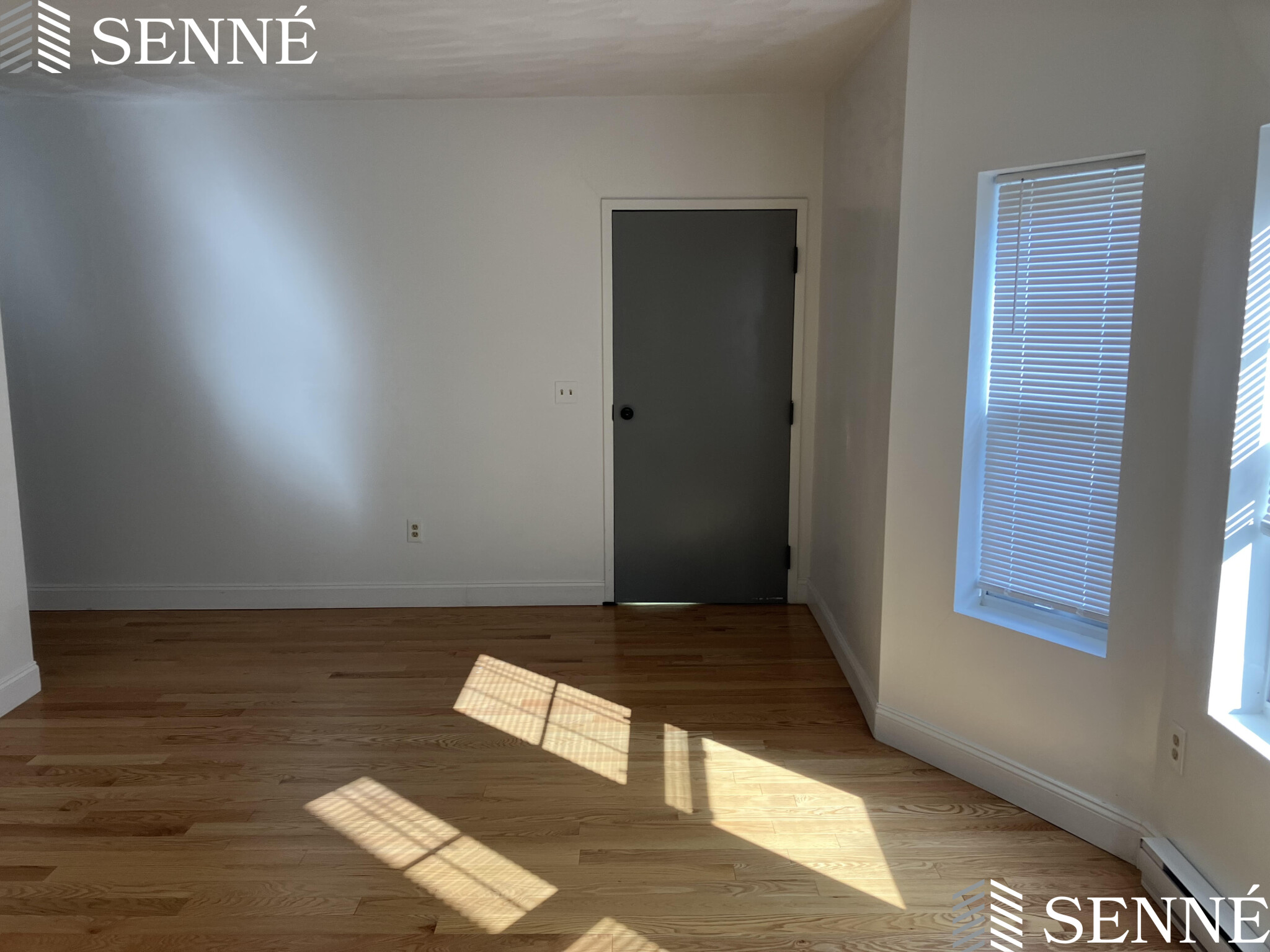 12 Winter St, Davis Square