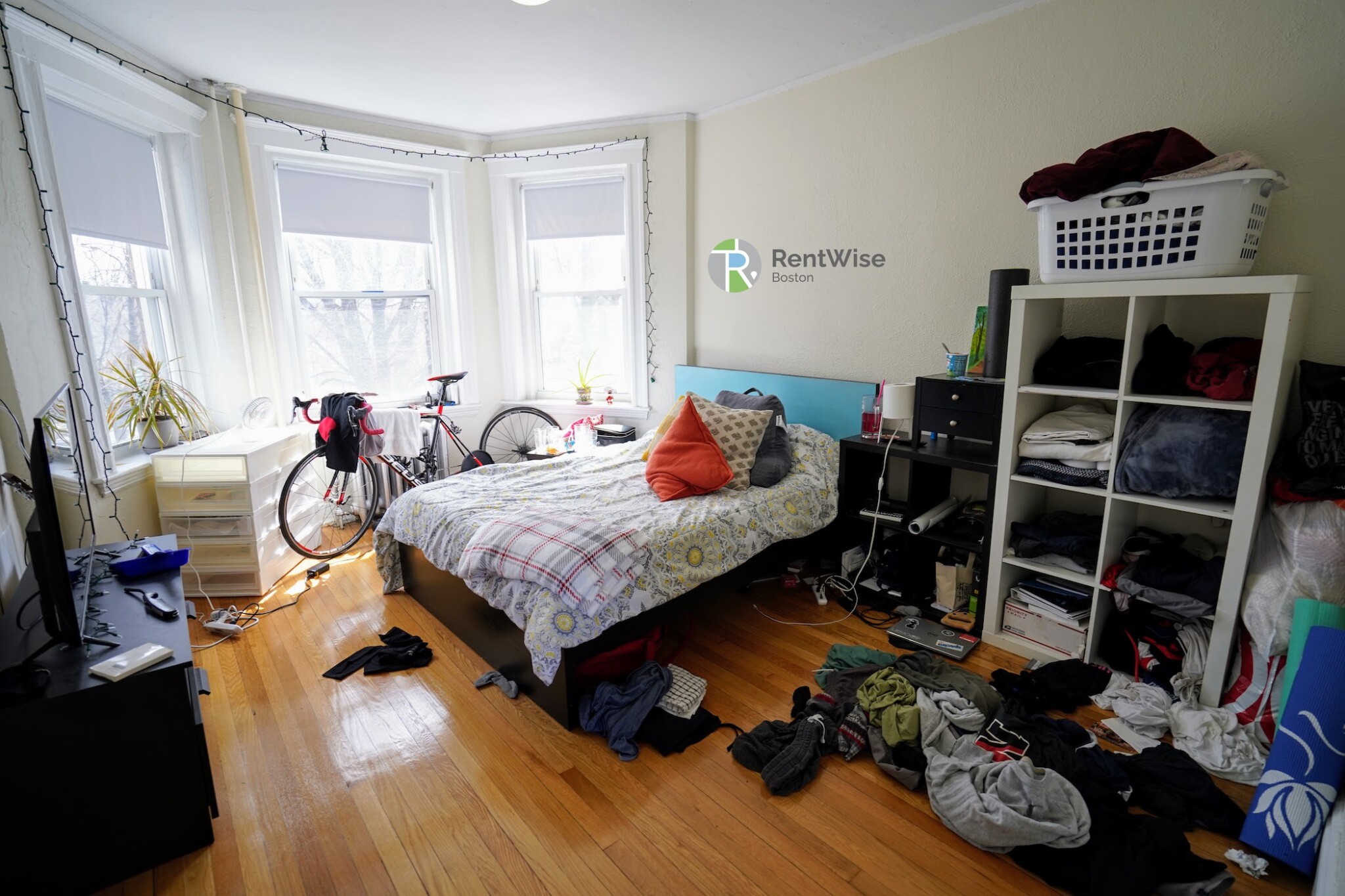 1163 Boylston St, Fenway