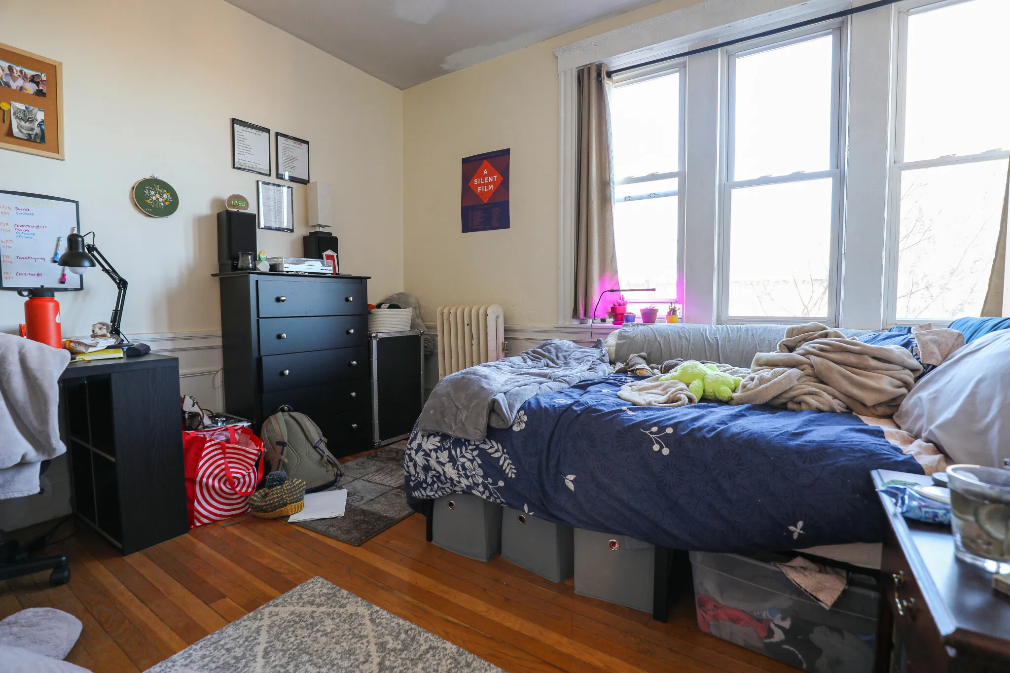 62 Egmont St, North Brookline