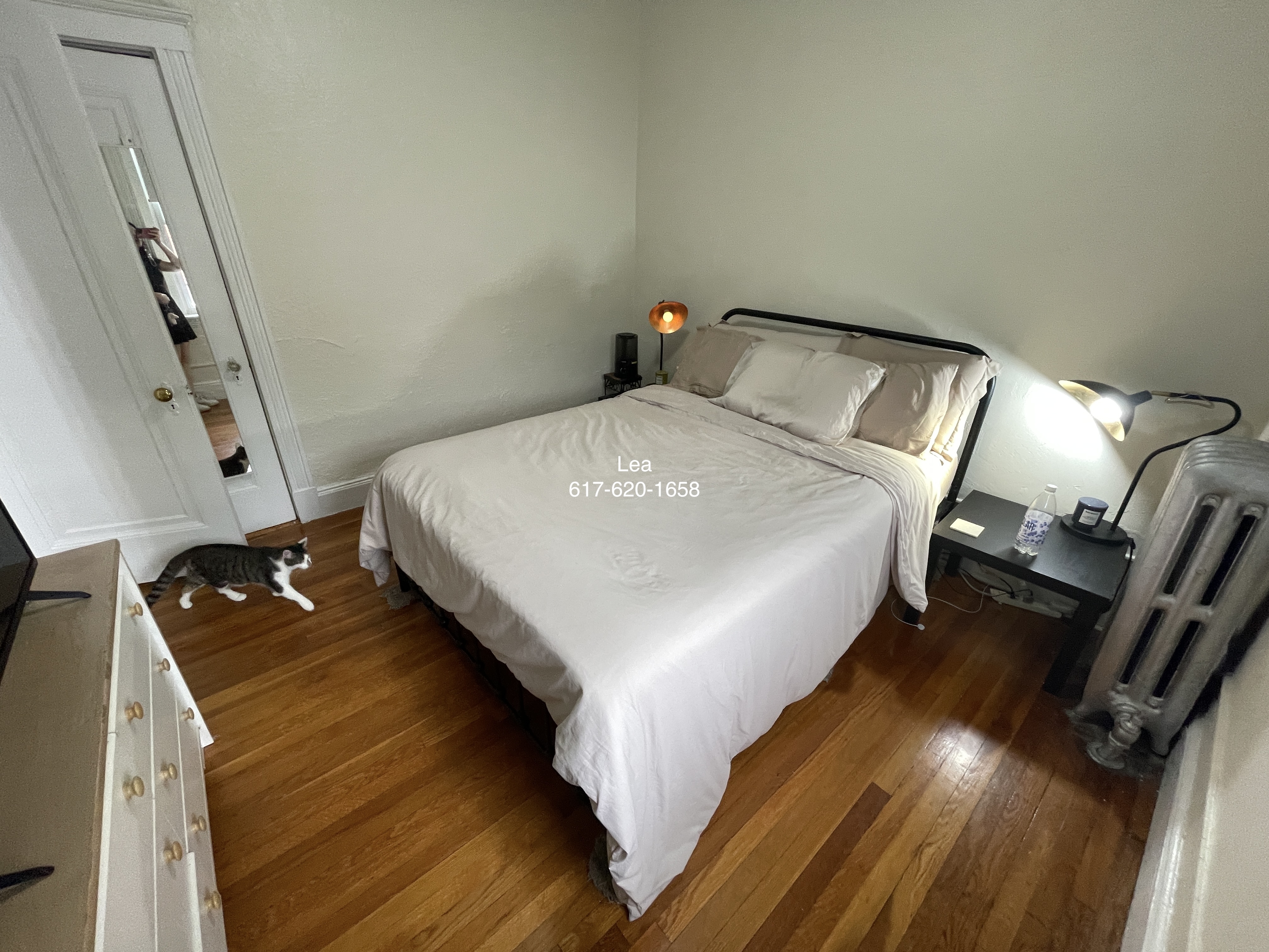 1800 Commonwealth Ave, Brighton