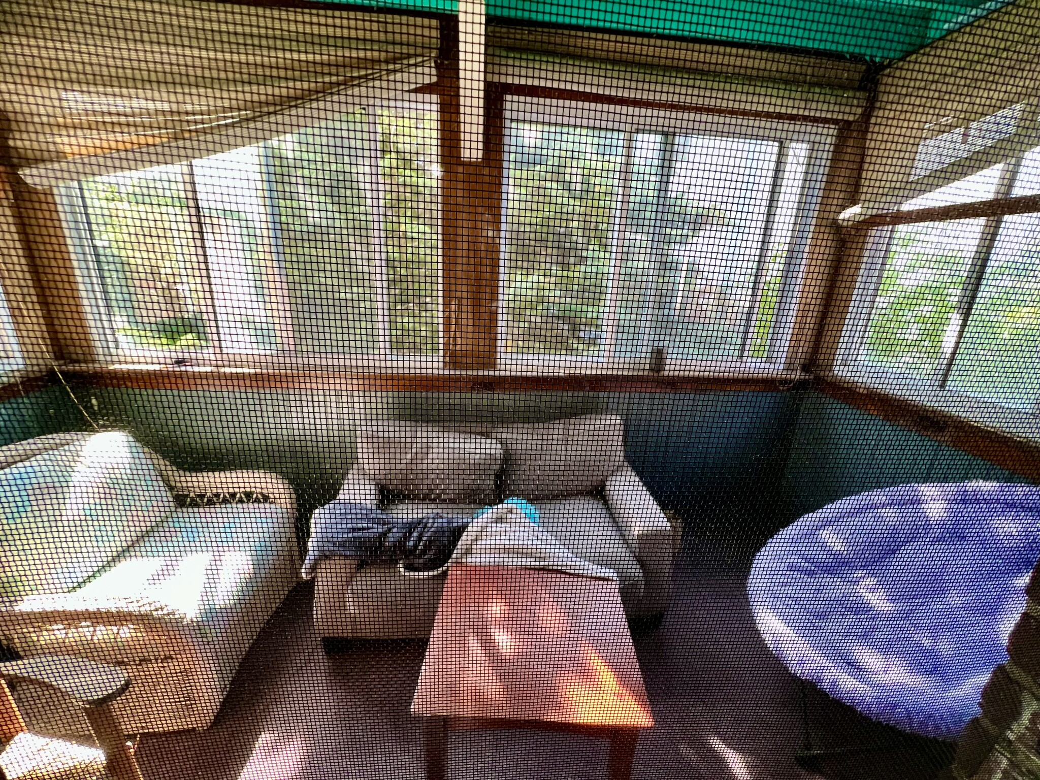 65 Craigie St, Spring Hill