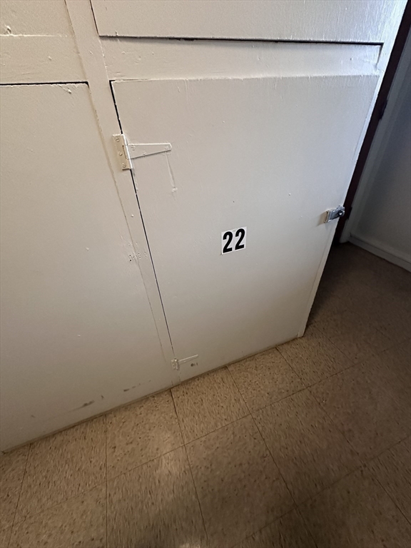 41 Will, Canton Junction