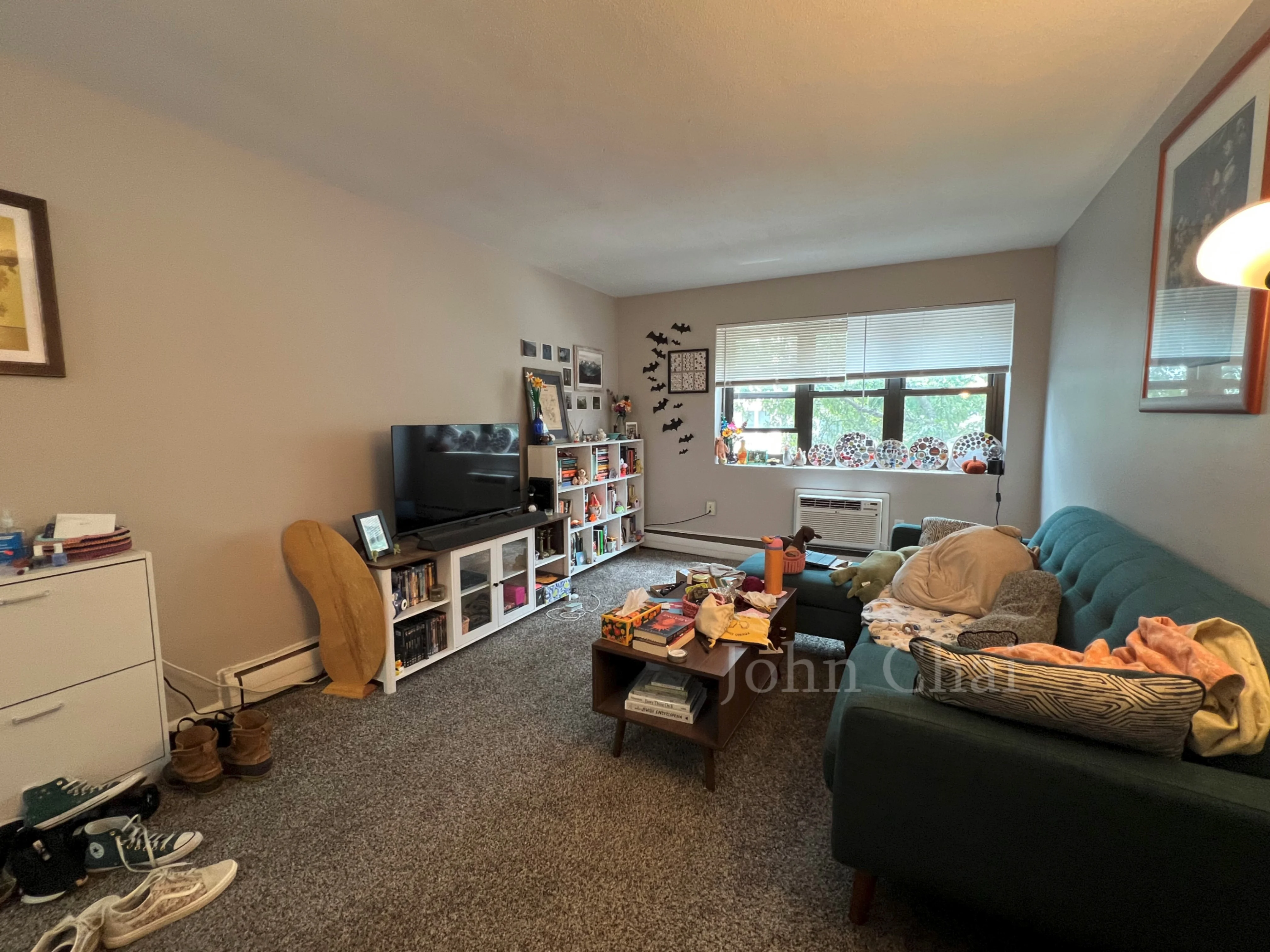 39 Shepard St, Brighton