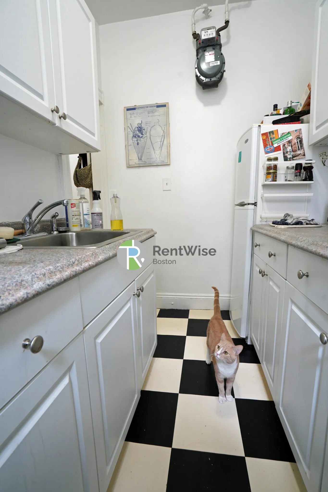 14 Orkney Rd, Brighton