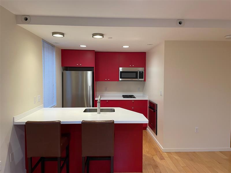 29 Warren St, Wellington-Harrington