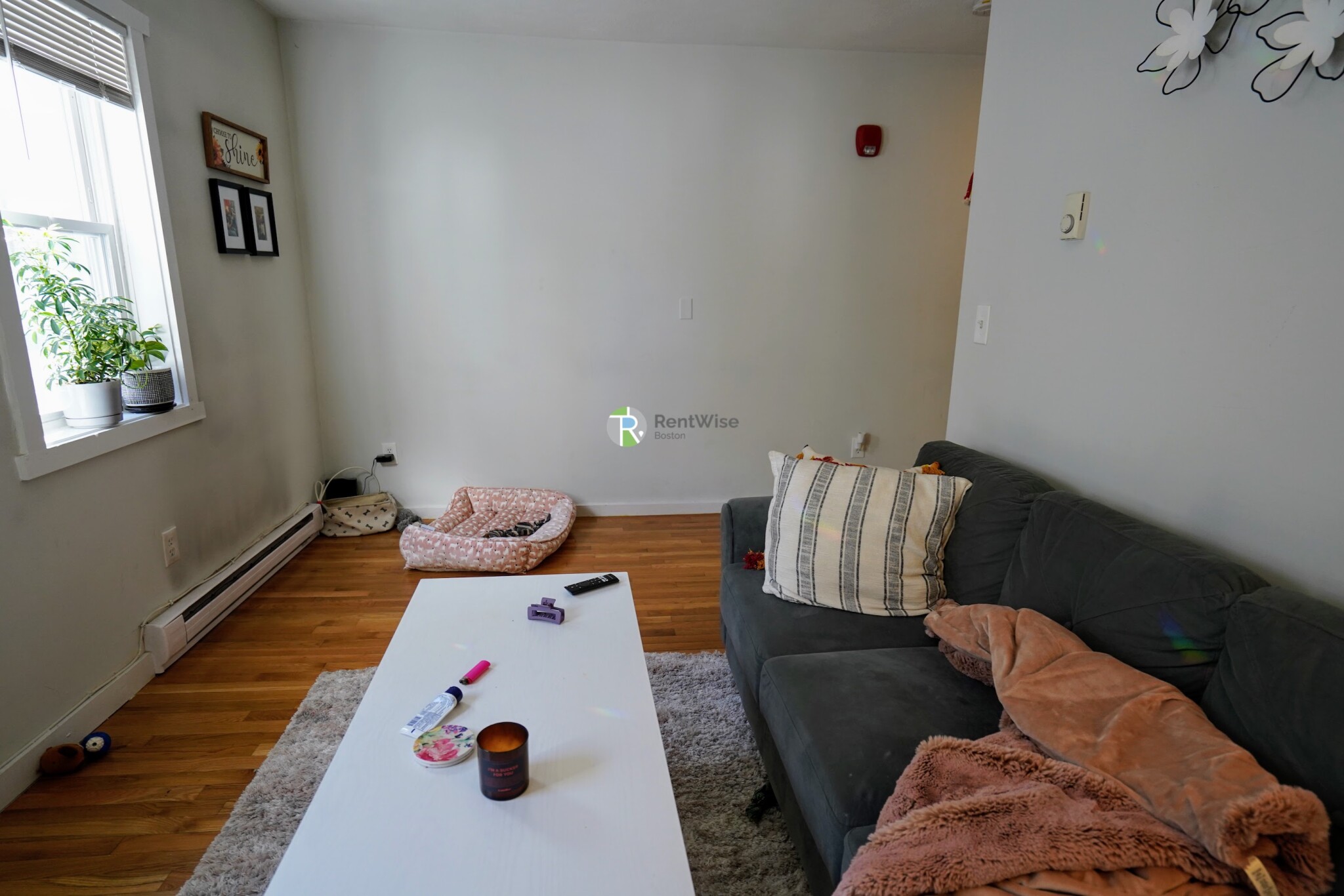 3 Schrepel Pl, South Boston