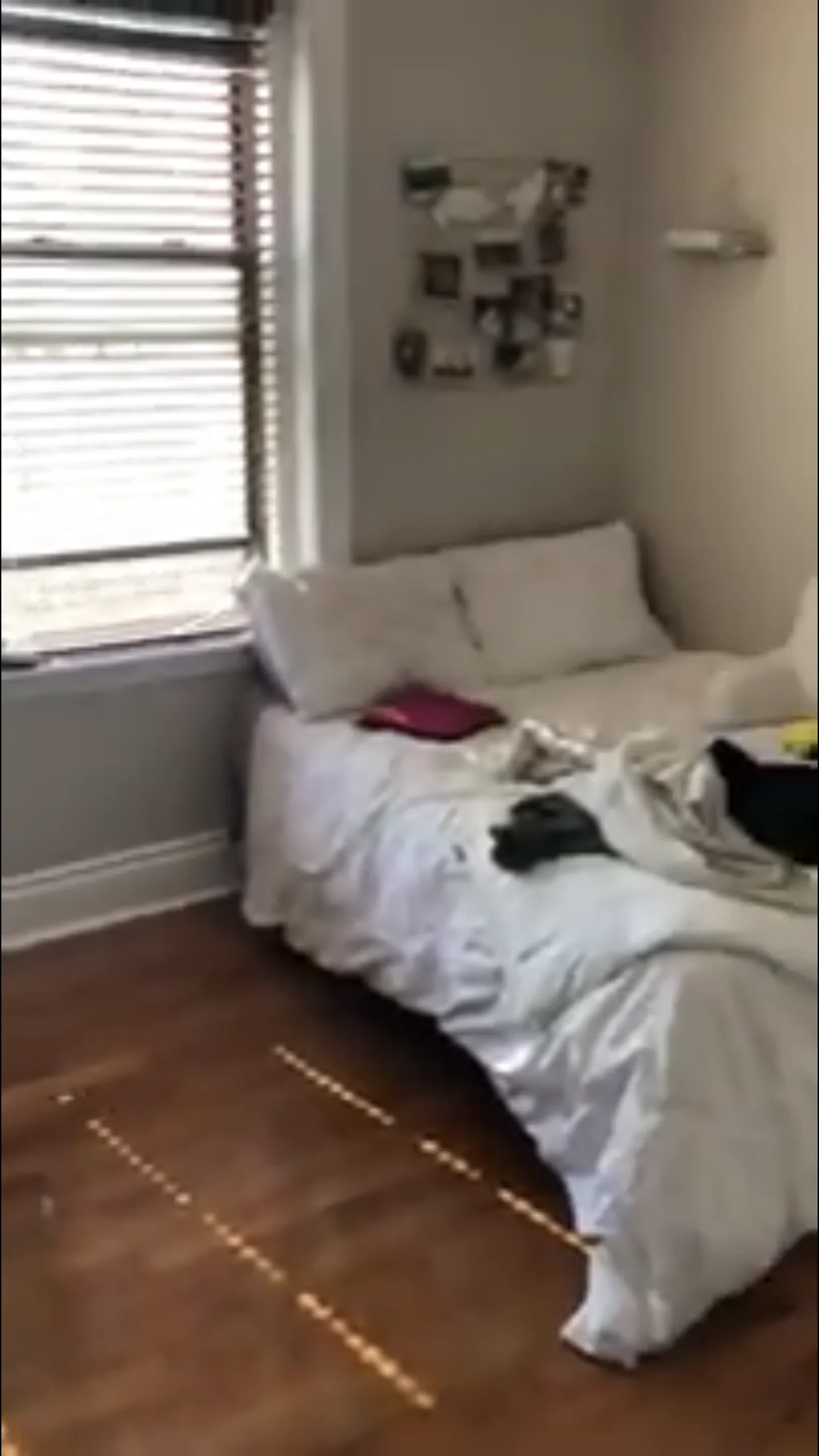 52 Charlesgate East, Fenway