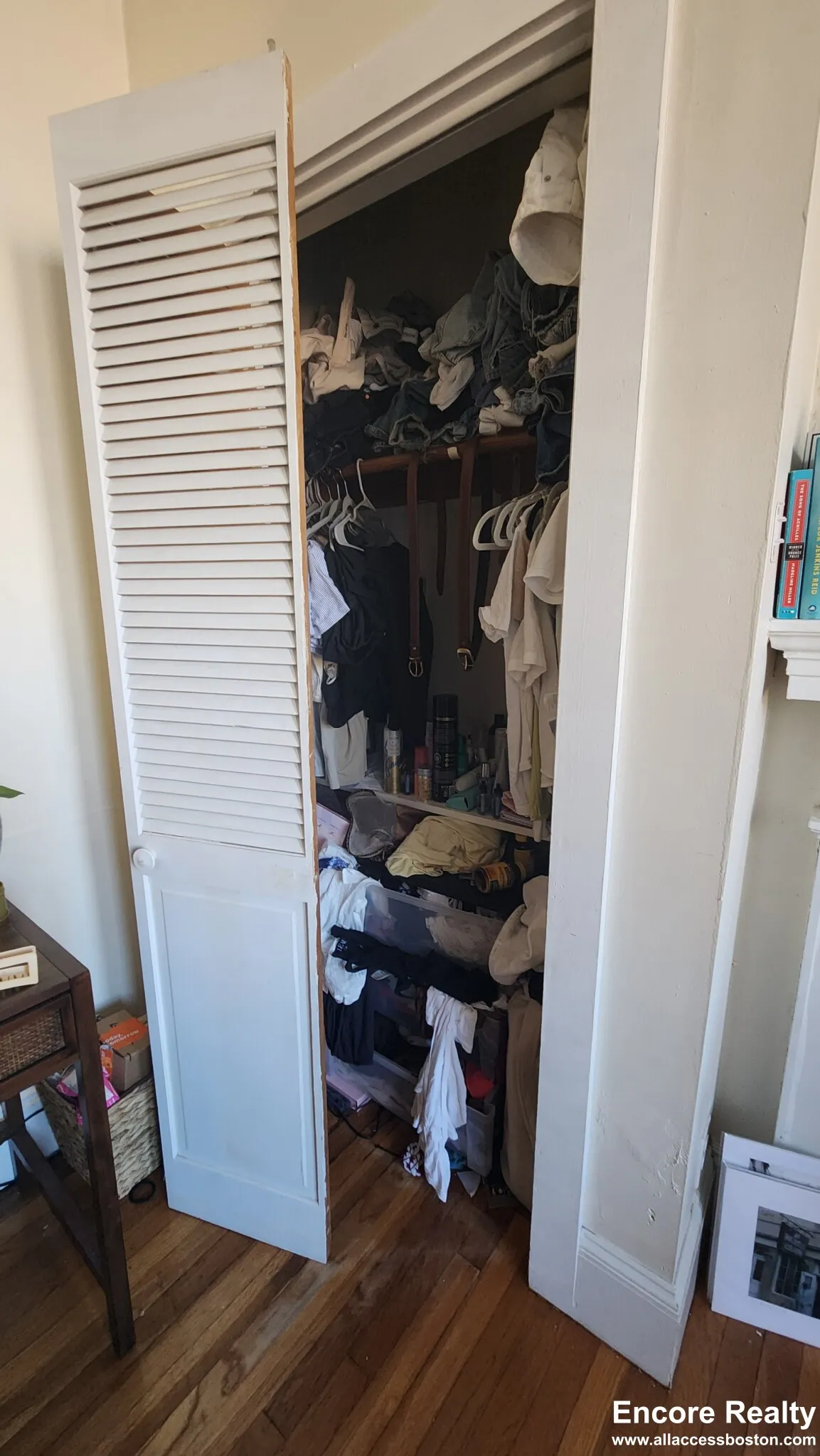 66 Egmont St, North Brookline