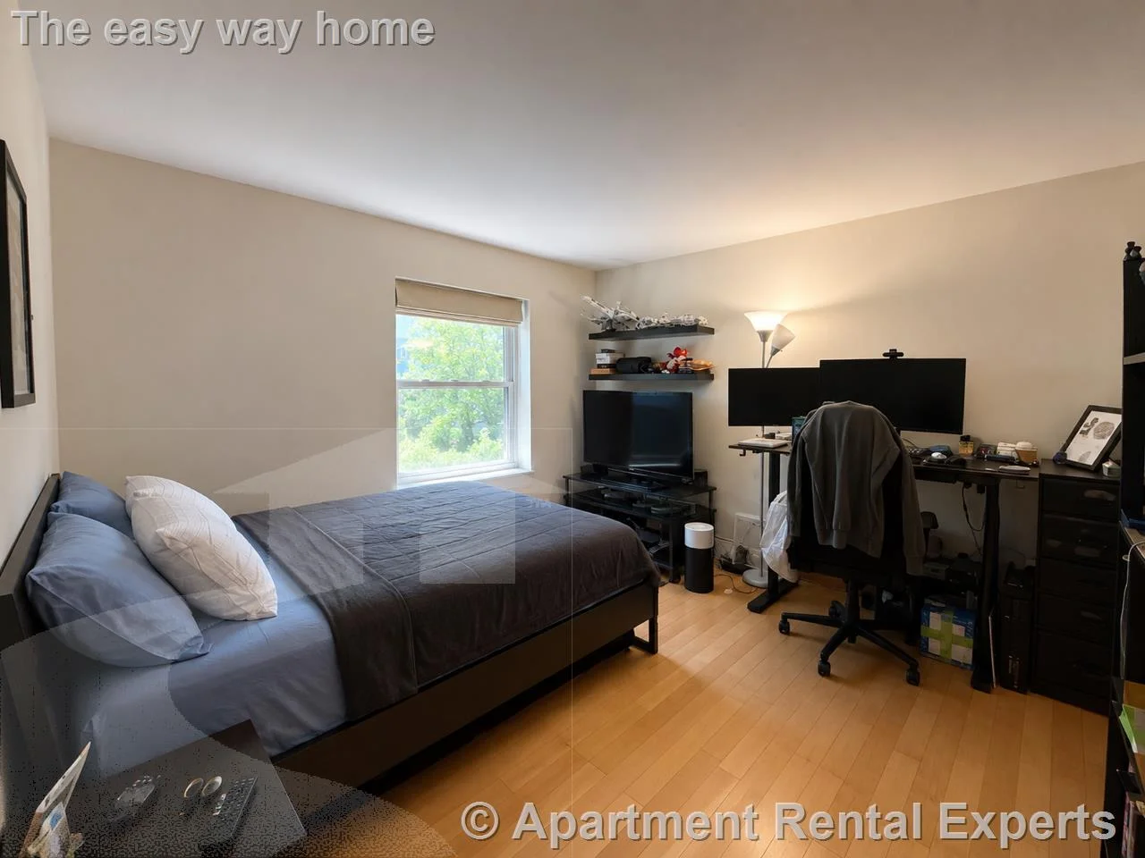 2440 Massachusetts Ave, Davis Square