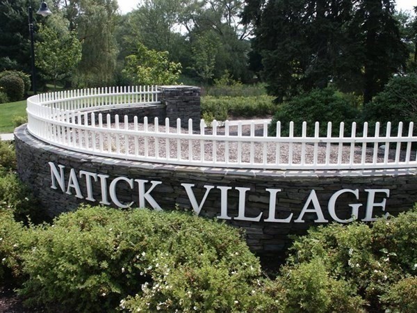 52 Village Brook Ln, Natick