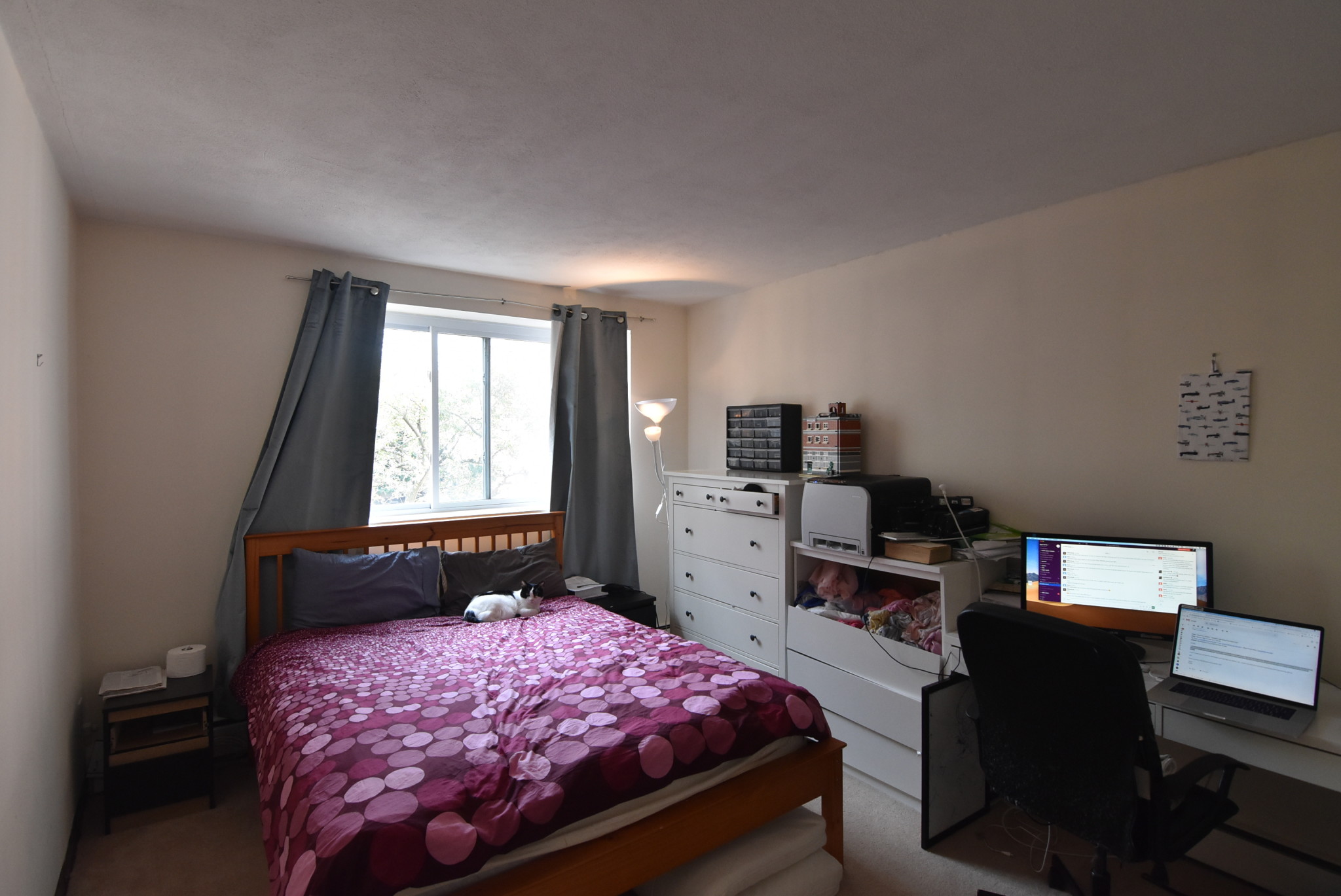 123 Sewall Ave, Coolidge Corner