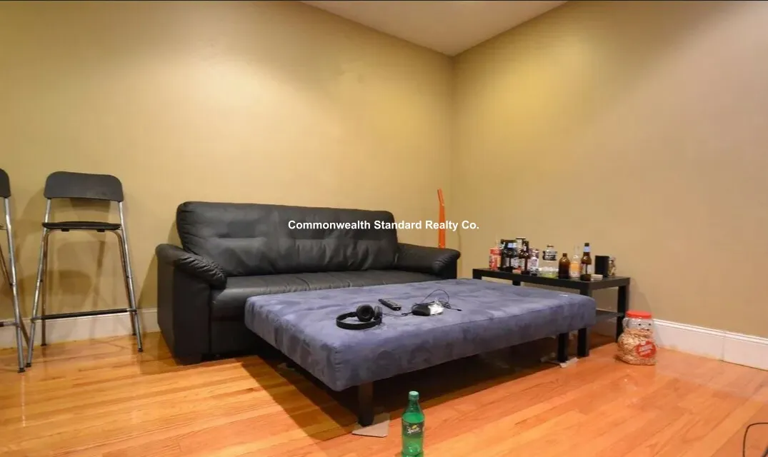 60 Egmont St, North Brookline