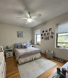 313 Summit Ave, Brighton