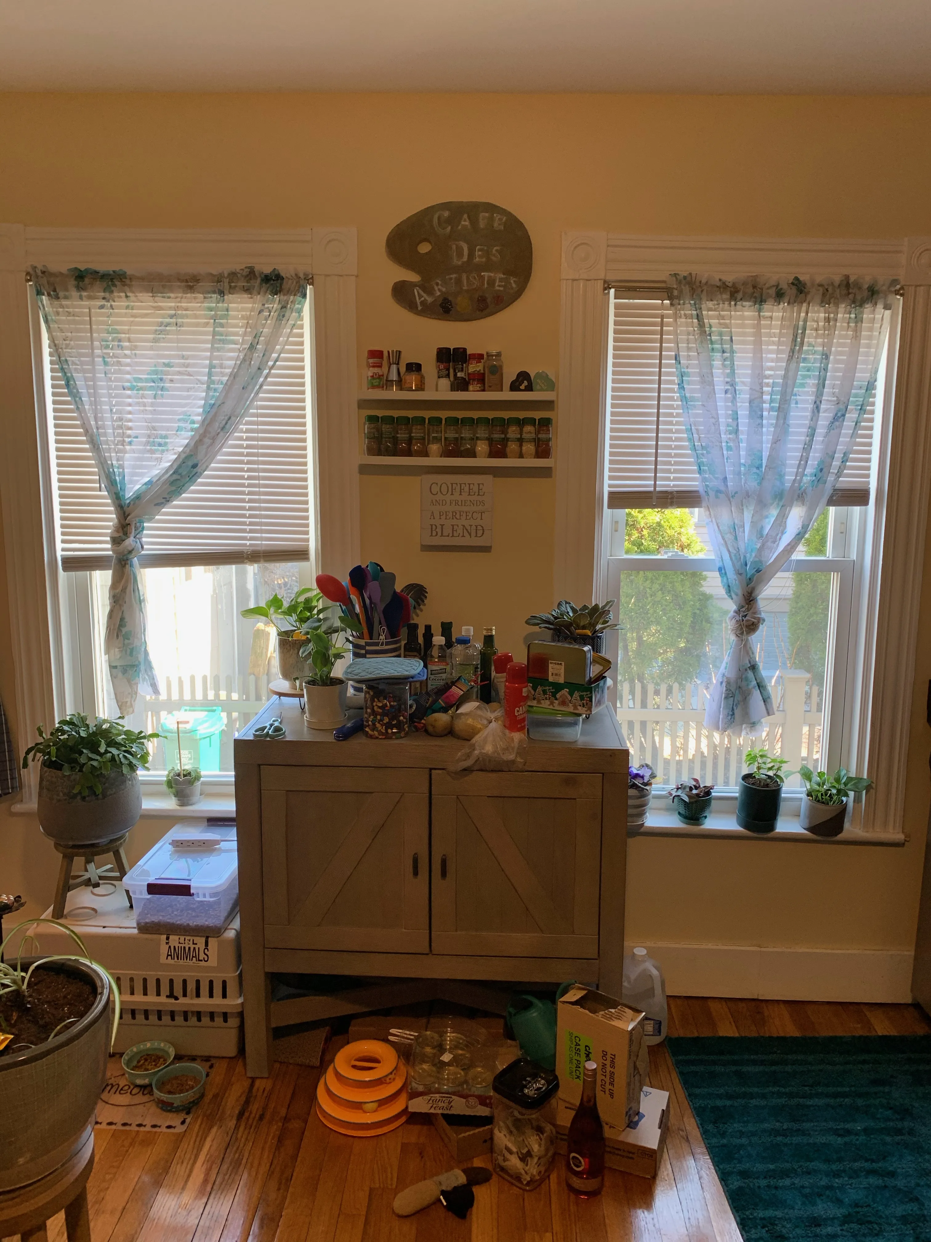 5 Blake St, North Cambridge