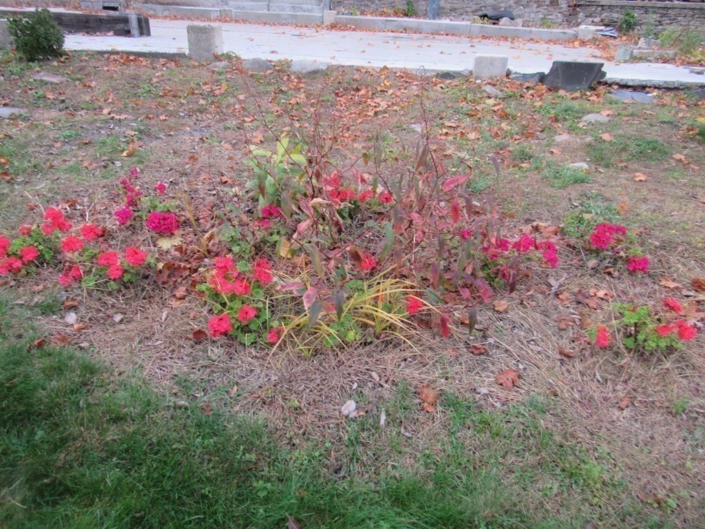 351 Plantation St, East Worcester