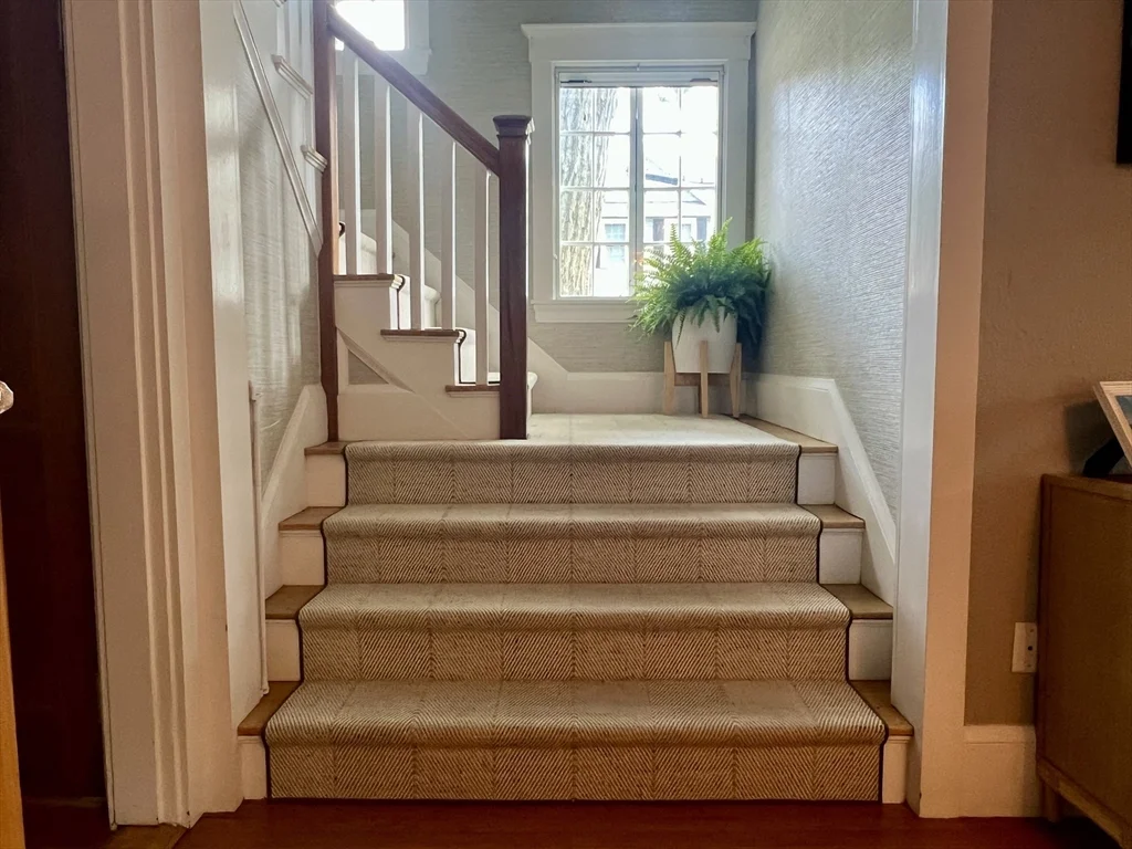 211 Forest St, Winchester