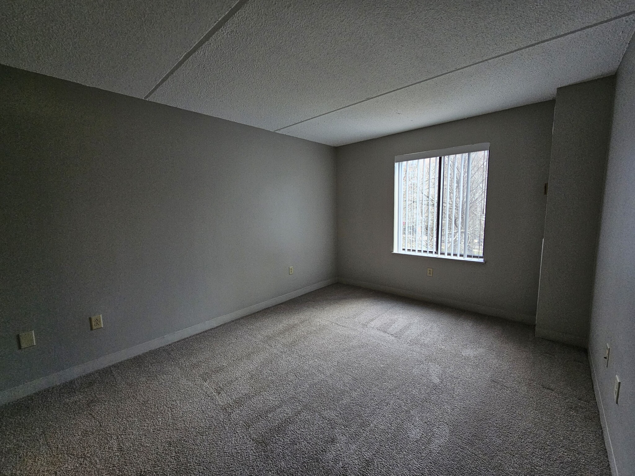 30 Harbor Point Blvd, Dorchester