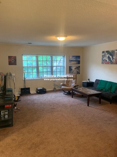 14 Lake Shore Ct, Brighton