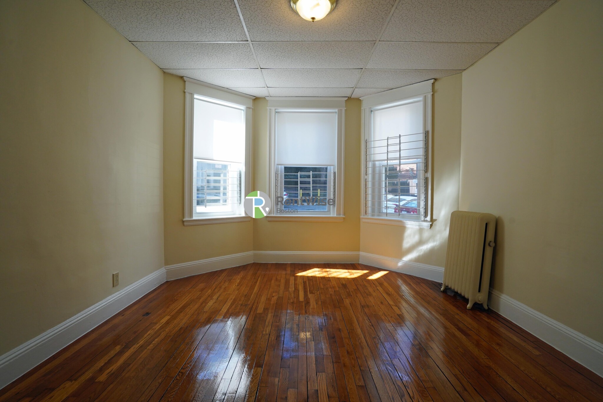 217 Kelton St, Brighton