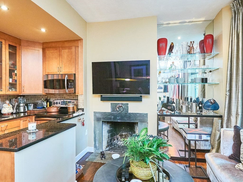 51 E Springfield, South End