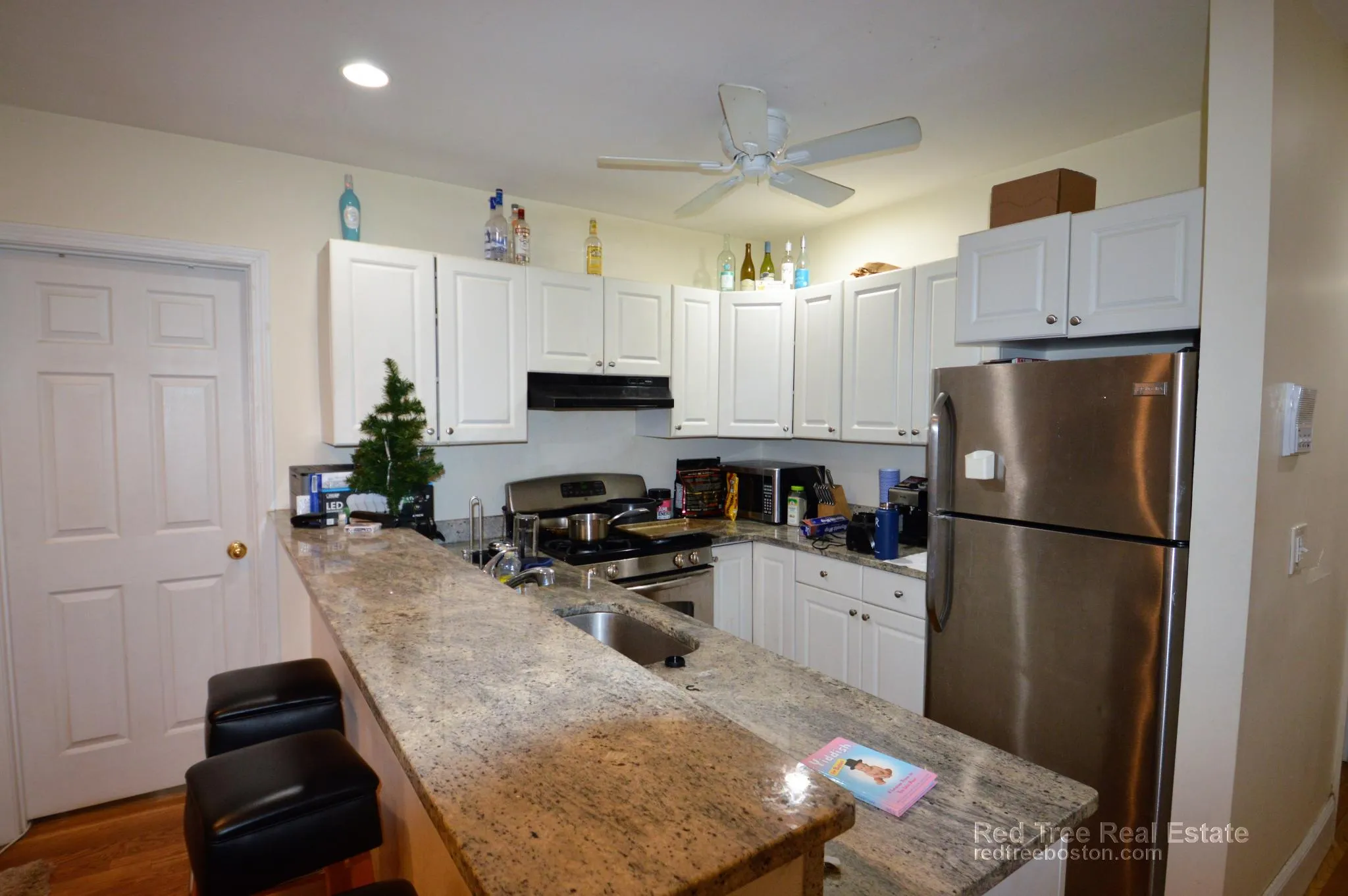 66 Egmont St, North Brookline